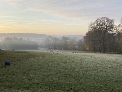 Herbstimpressionen im November 2021 am Kloster Gerleve in Billerbeck.